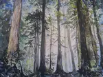 A Forest Without Names