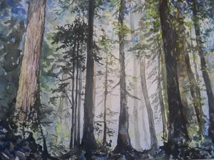 A Forest Without Names