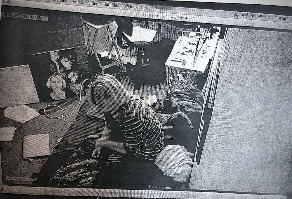 Eva viewed through a spycamera Eva viewed through a spycamera