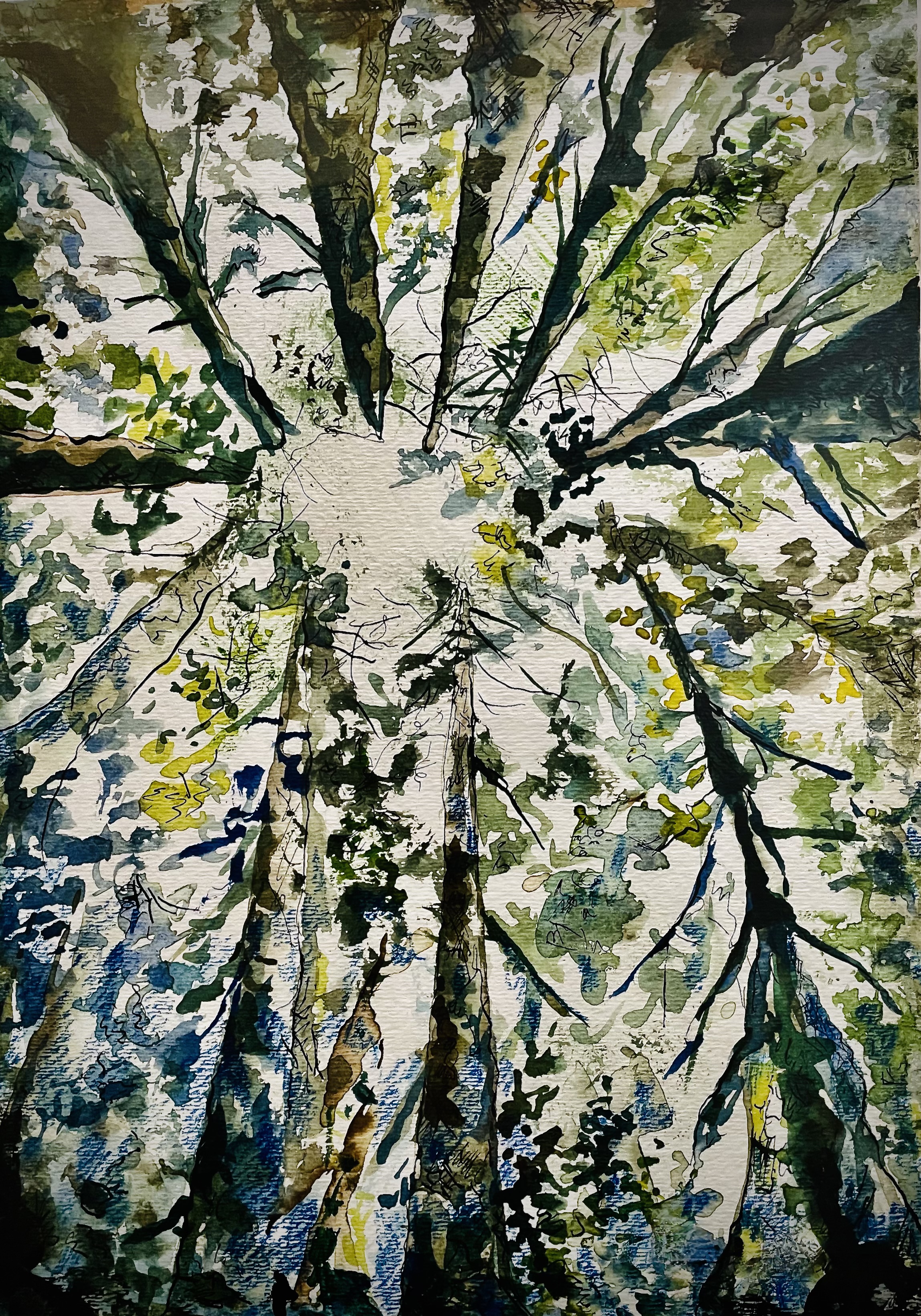 Trees and White Sky No Name