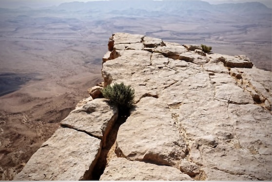 Desert cliff's edge